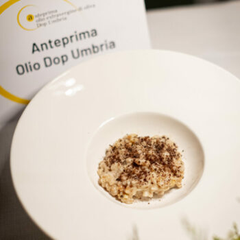 620PP6R8288@PPMETELLI 620PP6R8288@PPMETELLI