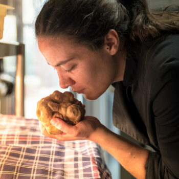 ALICE CAPORICCI ALICE CAPORICCI